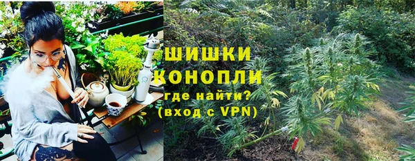 mdpv Горно-Алтайск