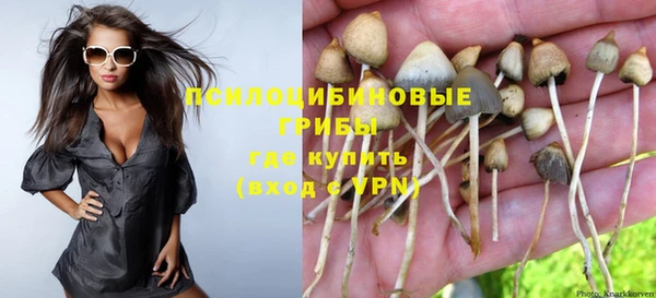 MESCALINE Горняк