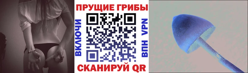 Галлюциногенные грибы Magic Shrooms  Купить  Курчалой 
